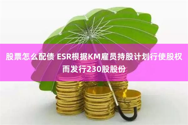 股票怎么配债 ESR根据KM雇员持股计划行使股权而发行230股股份