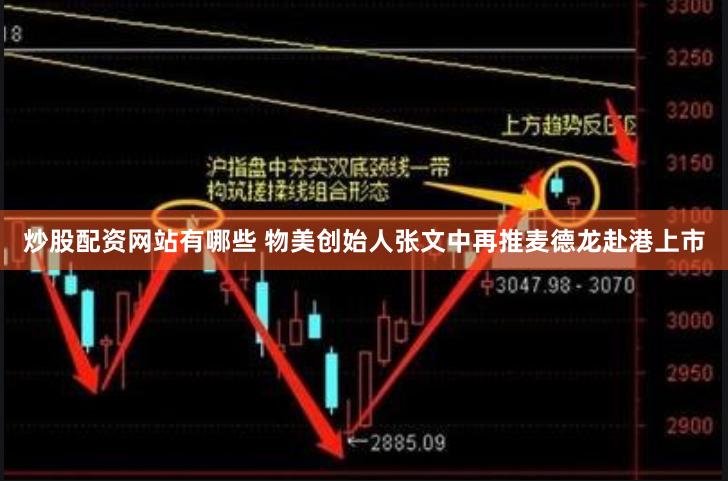 炒股配资网站有哪些 物美创始人张文中再推麦德龙赴港上市