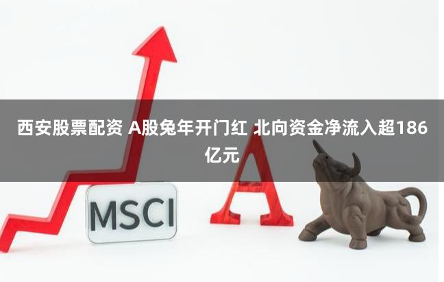 西安股票配资 A股兔年开门红 北向资金净流入超186亿元