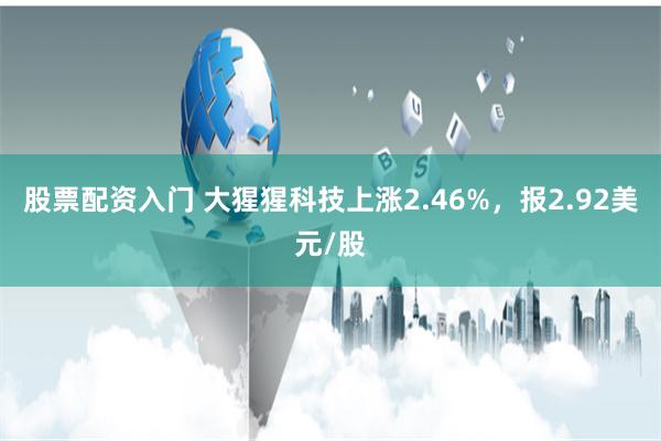 股票配资入门 大猩猩科技上涨2.46%，报2.92美元/股